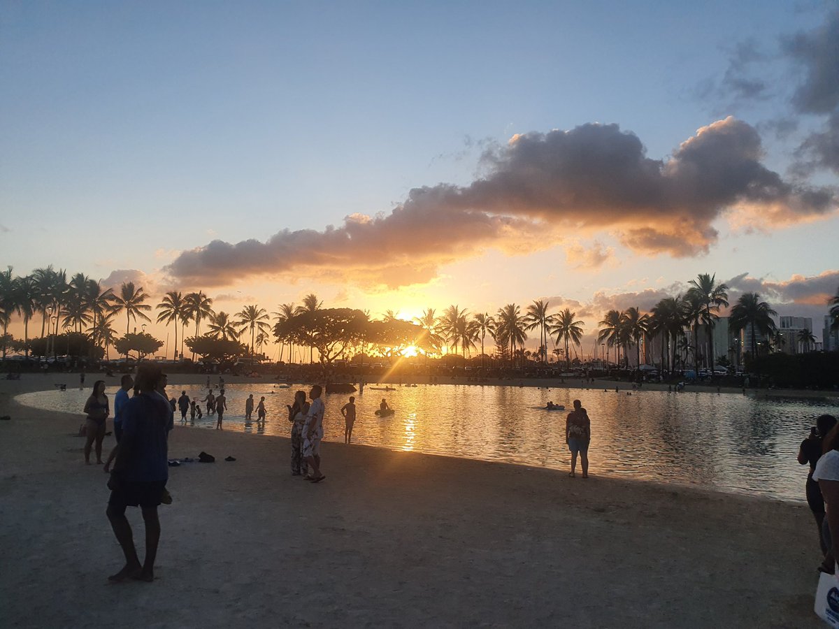 Michael Kamp tweet media