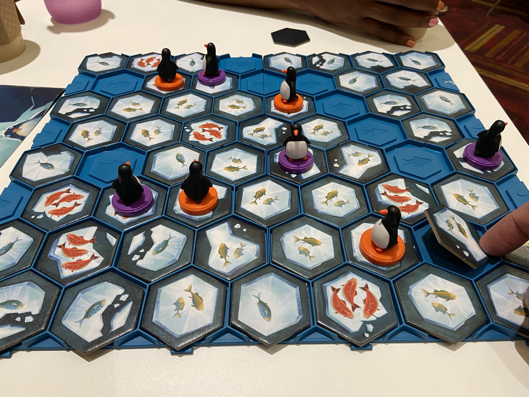 BoardGameGeek on X: The new edition of Hey, That's My Fish!, coming from  Next Move Games in Q3 2023, has a four-part plastic game board that allows  for easy set up and