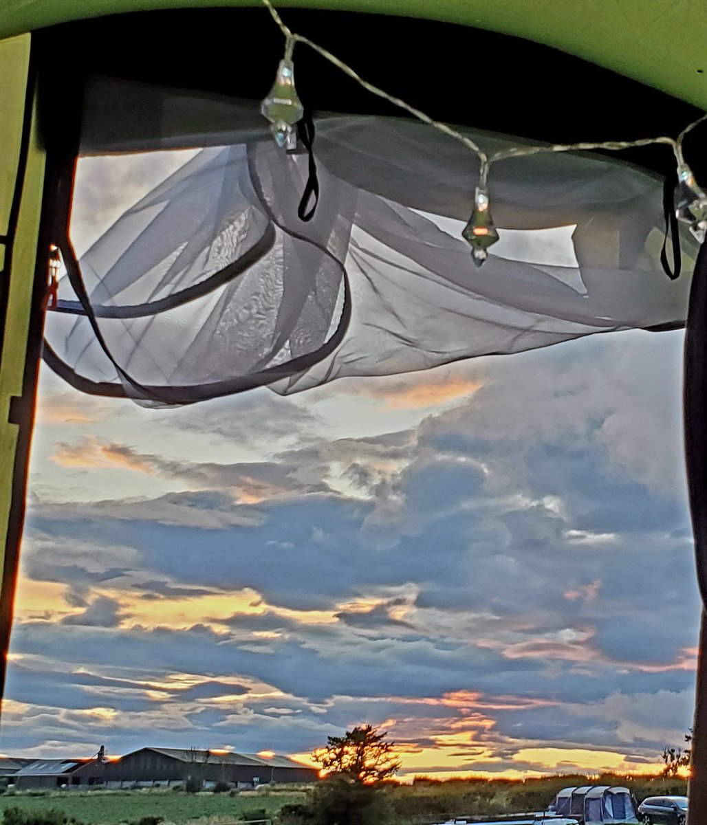 blonde_on_bikes's tweet image. Watching the sunset from the tent 🌤🌙
#sunset #fireysky #tentlife #camping #skygazing