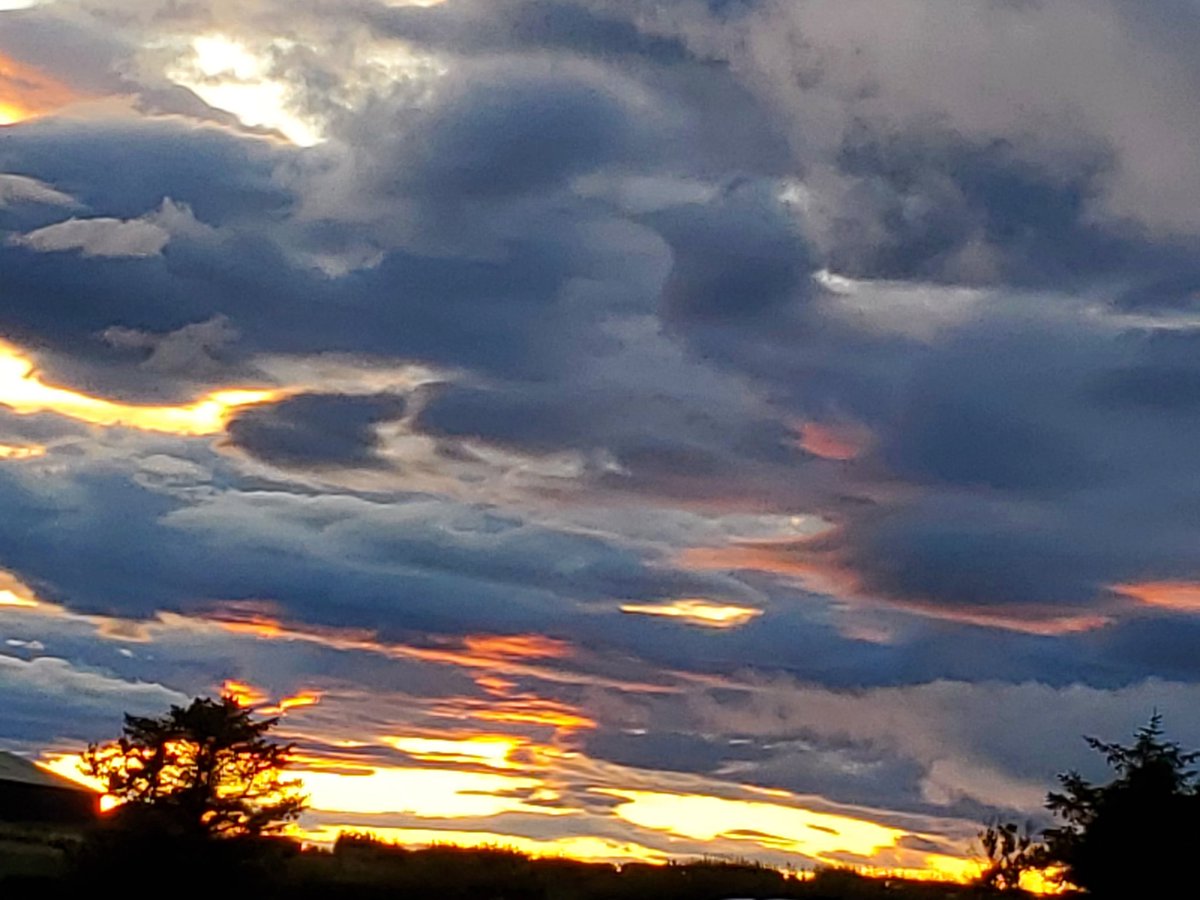 blonde_on_bikes's tweet image. Watching the sunset from the tent 🌤🌙
#sunset #fireysky #tentlife #camping #skygazing