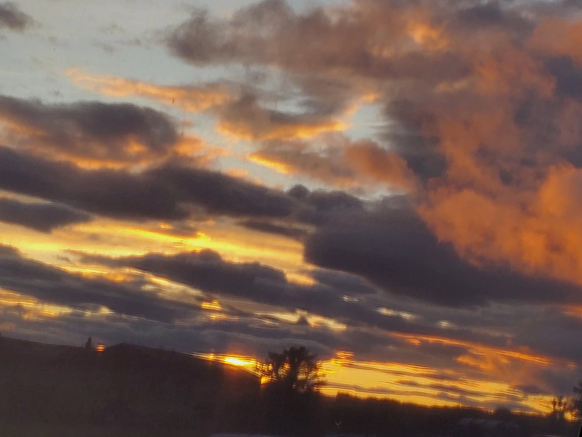 blonde_on_bikes's tweet image. Watching the sunset from the tent 🌤🌙
#sunset #fireysky #tentlife #camping #skygazing
