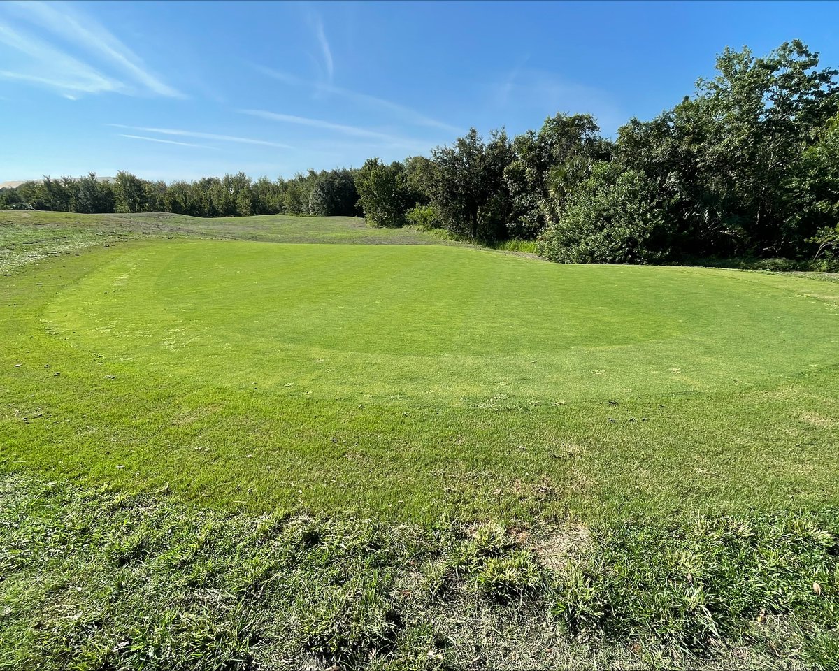 Check out these renovation updates! Our grass is growing in nicely! The team can't wait to welcome golfers back this Fall ⛳