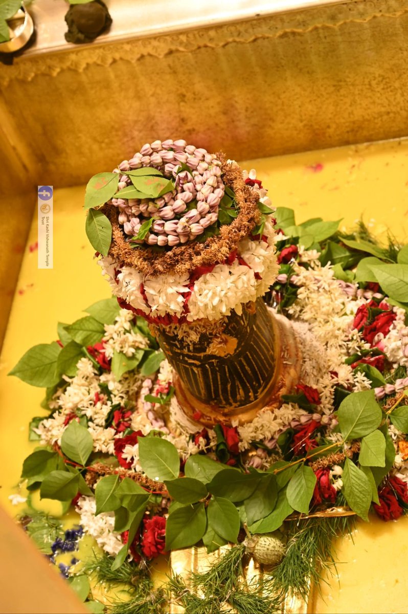 ShriVishwanath's tweet photo. आज दिनाँक 03-08-2023 को श्री काशी विश्वनाथ मंदिर के सप्तऋषि आरती के दर्शन।  #ShriKashiVishwanath #shiva #mahadev #baba #templespa #darshan #blessings #saptrishi #vishwanath #KashiVishwanathDham https://t.co/UF2eOJ2KIm