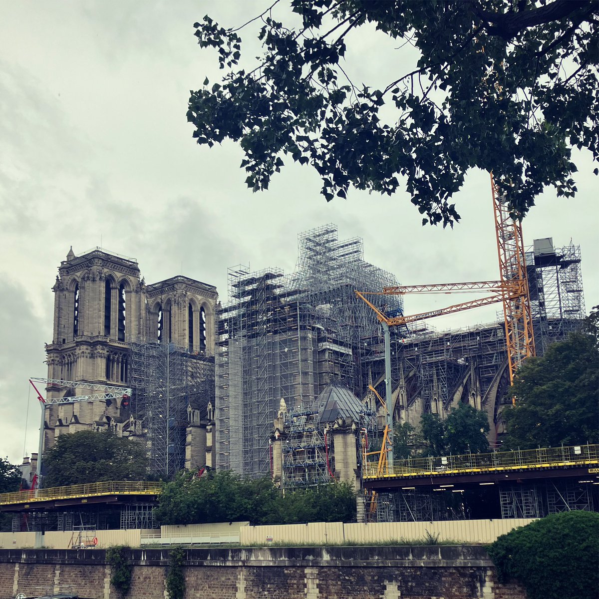 Rachael Sherratt tweet media