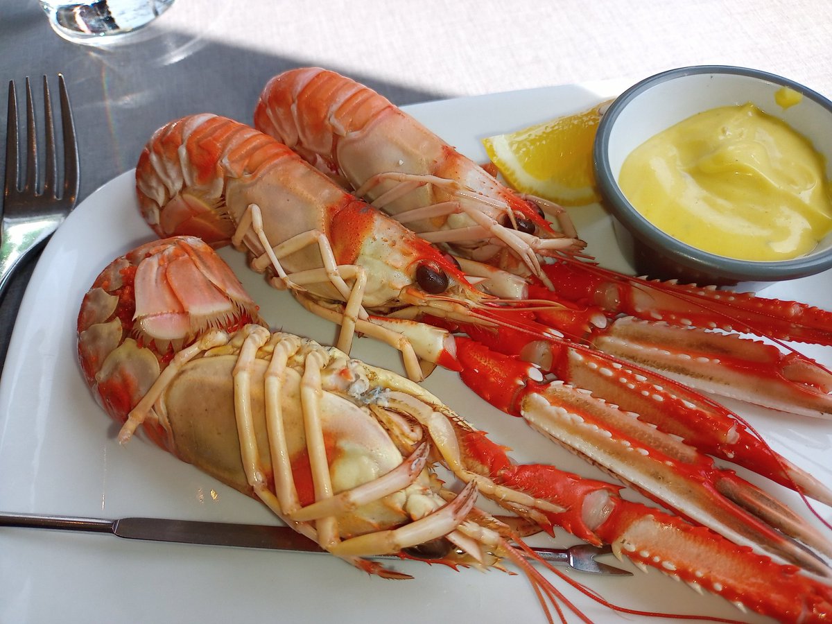 Bothen Hill tweet media