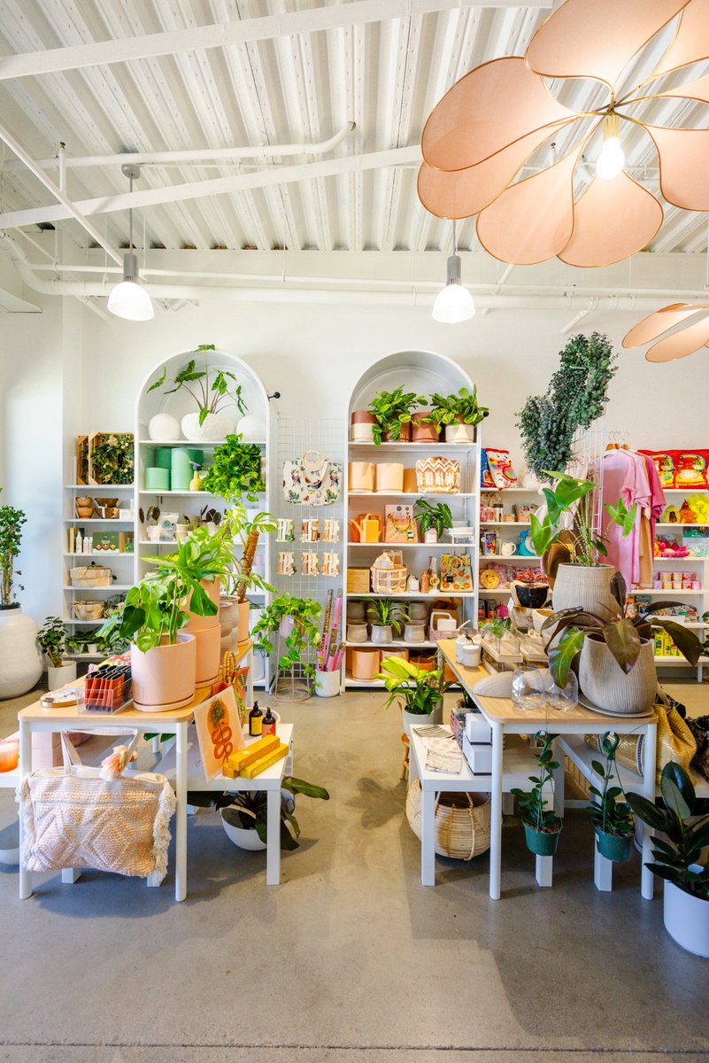 Penelope_Pots's tweet photo. Store scenes 🤩 https://t.co/t6kiHJRc8T
