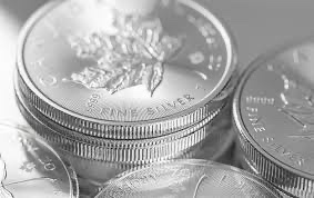 Jrgen770532's tweet photo. "Silver coins are a solid investment. Pro: Long-term value retention, security in financial crises and physical investment. Cons: Price volatility and storage costs, plus there are surcharges in certain countries. #investments #bullion  #silver coins" https://t.co/ezztjhDtJO