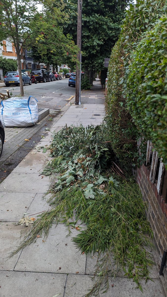 moigescr's tweet photo. Hello @haringeycouncil @ContactHaringey @VeoliaUK @CllrSeema, this has been blocking the pavement around #70 on Langham Rd for several days. Also a large bag of garden waste just dumped.
Can you help? https://t.co/kYLk36Jchh