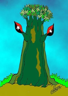 El caguairán (2006)

Caricatura realizada por Nelson Pérez Douglas como regalo de los cienfuegueros al 80 cumpleaños de Fidel.