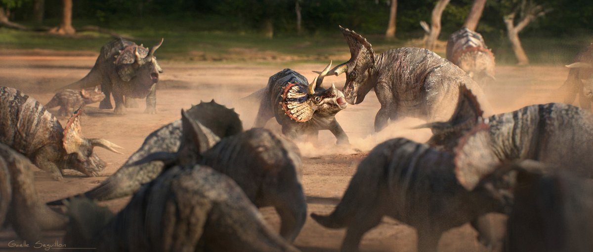 I did this Concept art for #PrehistoricPlanet 2 for the NORTH AMERICA episode.
It shows a group of #triceratops Horridus gathering during the mating season and engaging in a fight to attract the females.
High res : artstation.com/artwork/AlgWJW