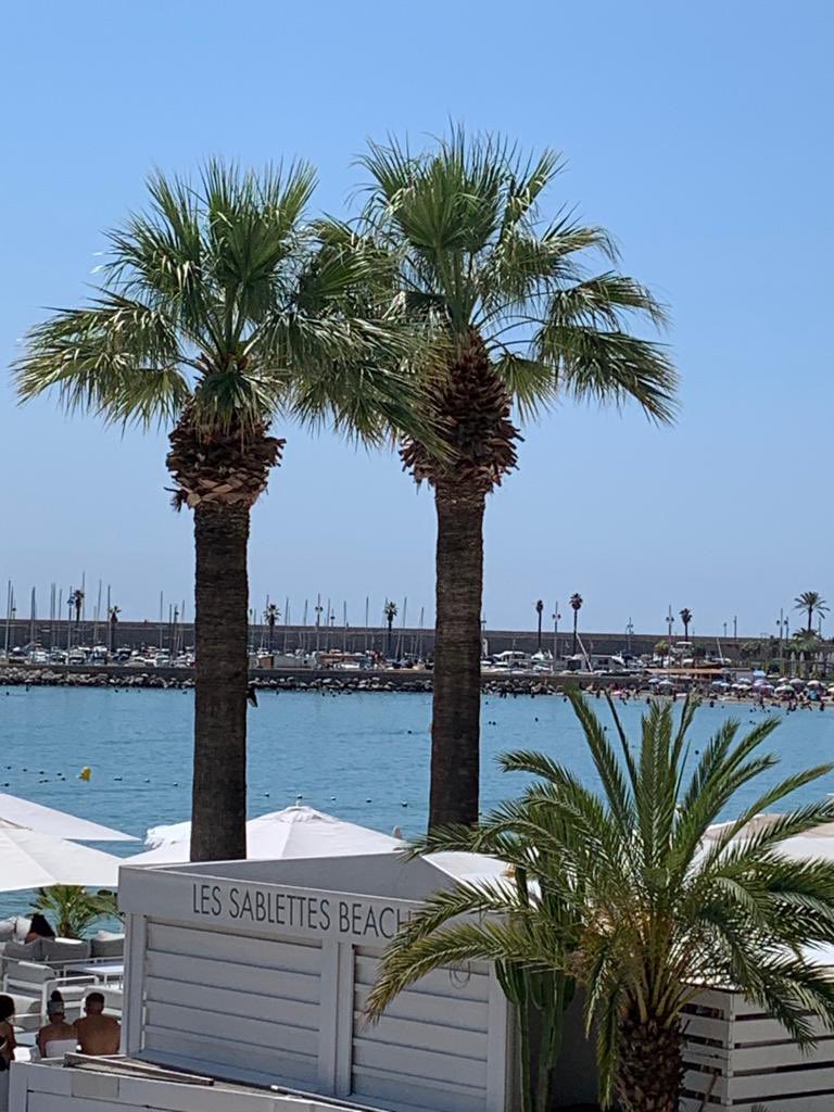 Summertime in Menton ! #mentonrivieramerveilles #CotedAzurFrance