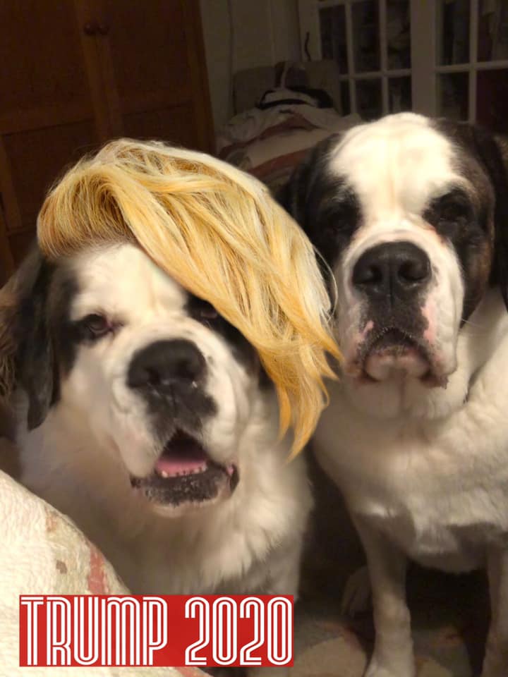 Niles Clark tweet media