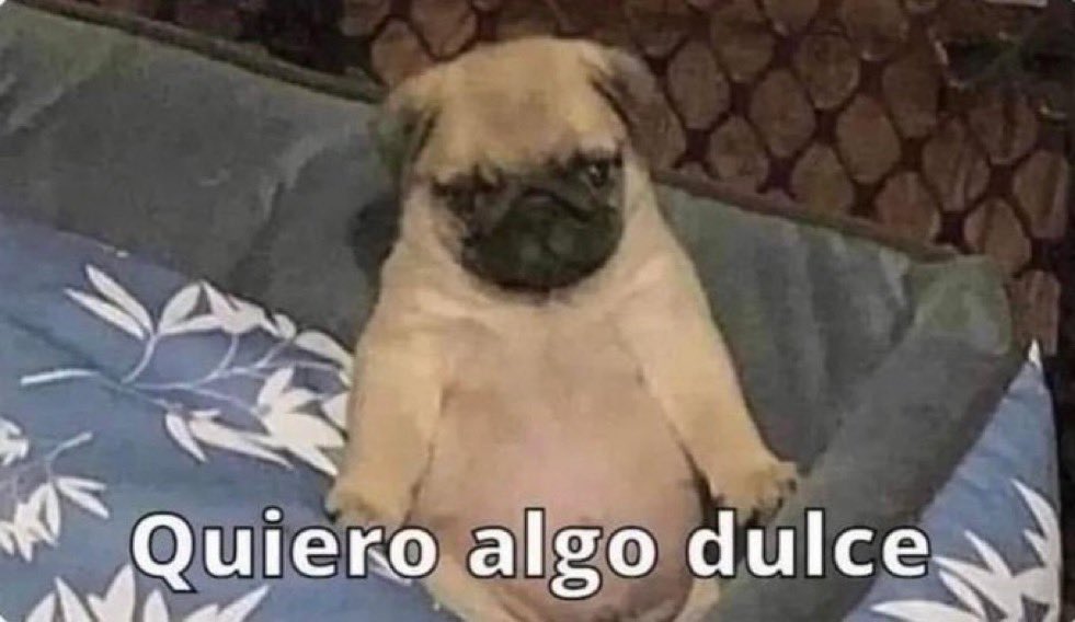 Guarromantico_'s tweet photo. Yo después de tragarme hasta las servilletas de la mesa: https://t.co/xPOlm2GVN2