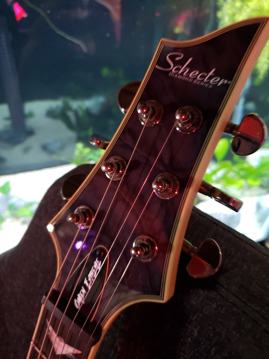 HellfishTV's tweet photo. It'll be nice to start jamming again. It's been about 10 years since I've had a guitar. https://t.co/AHrOfMCRTO