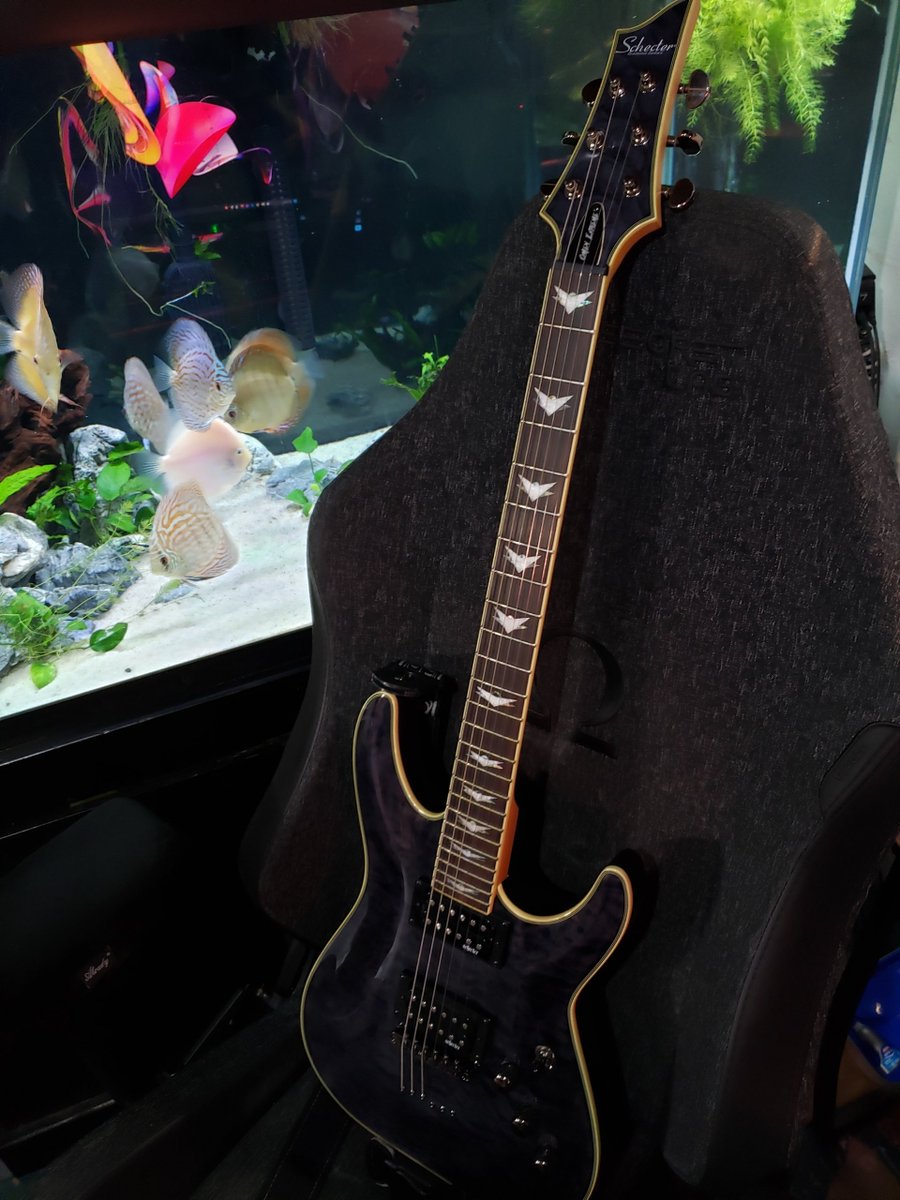 HellfishTV's tweet photo. It'll be nice to start jamming again. It's been about 10 years since I've had a guitar. https://t.co/AHrOfMCRTO