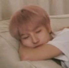 renjuns323's tweet photo. sleepy meow meow /ᐠ - ˕ -マᶻ 𝗓 𐰁 https://t.co/i4PtSUegkV