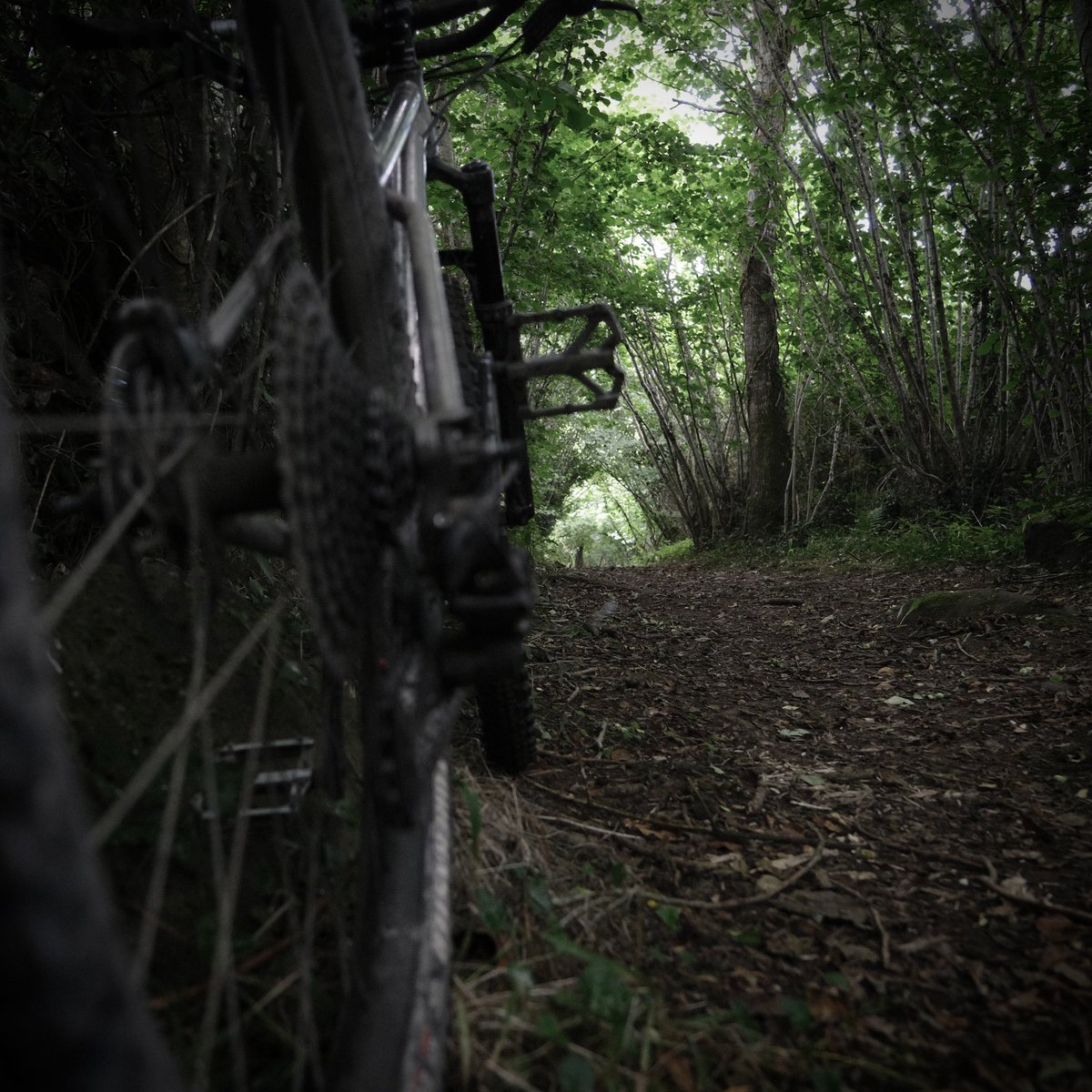 mtbbikepacker's tweet image. I’ve been out in our recent British summer liquid sun scouting new trails to turn into a tour. Beautiful loamy bridleways, with savage gradients. Devon’s finest.
#sonderbikes #goniceplacesdonicethings #sondersignal #hardtail #devon #fujixseries #titaniumbike #dartmoornationalpark
