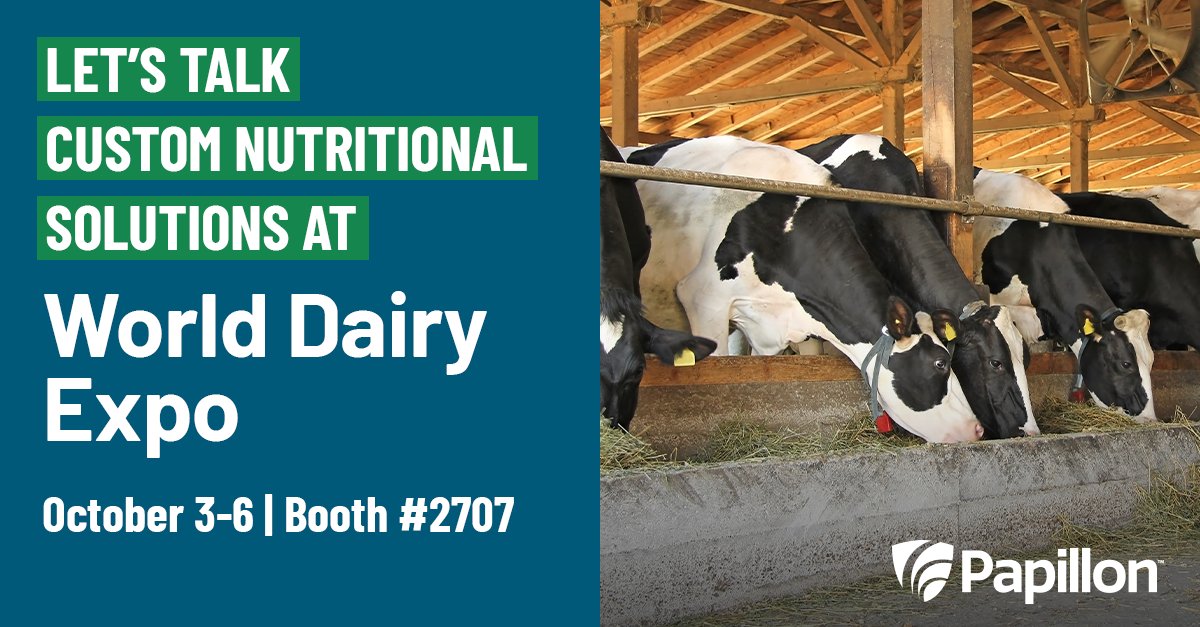 Looking for a custom nutritional solution for your herd? Then make sure to stop by booth #2707 at World Dairy Expo, October 3-6. The Papillon team is excited to talk all things dairy nutrition!