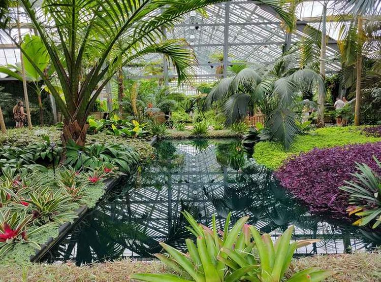 lineupping's tweet photo. Escaping to @gpconservatory looking for a well-deserved full of breath

📍 Chicago. A #travel tip for @enjoyillinois

Find out more #destinations on https://t.co/KI6zQj4SNf &amp; @lineupping

📸 Jaclyn Rivera, Tanya Taylor

#festivalfrontiers 
#visitchicago 
#enjoyillinois 
#visitUSA https://t.co/wwavvY4dUj