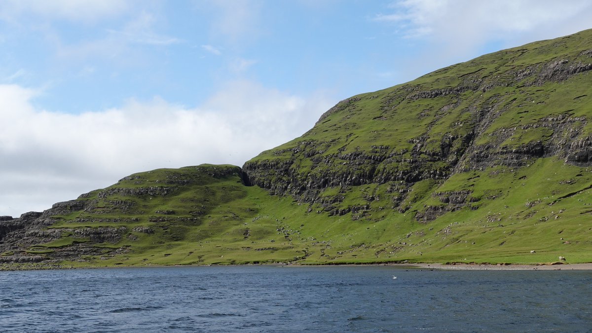 Kirsten Seestern Christoffersen tweet media