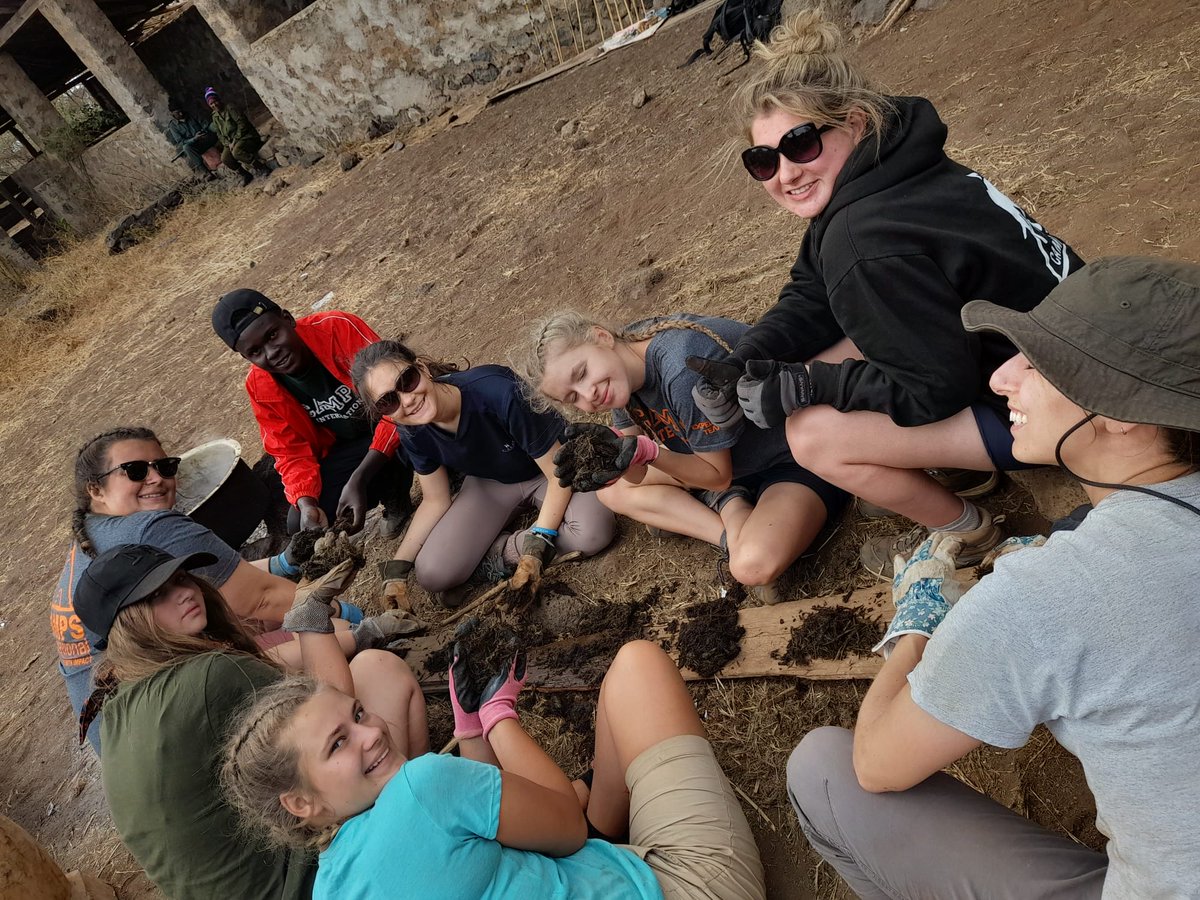 camptanzania's tweet photo. Off to our bush Camp, and we made papers out of Elephant 'poo' awesome! #teamtafi #campEffect @campkenya @CampsInt https://t.co/5XYz0xjZZC