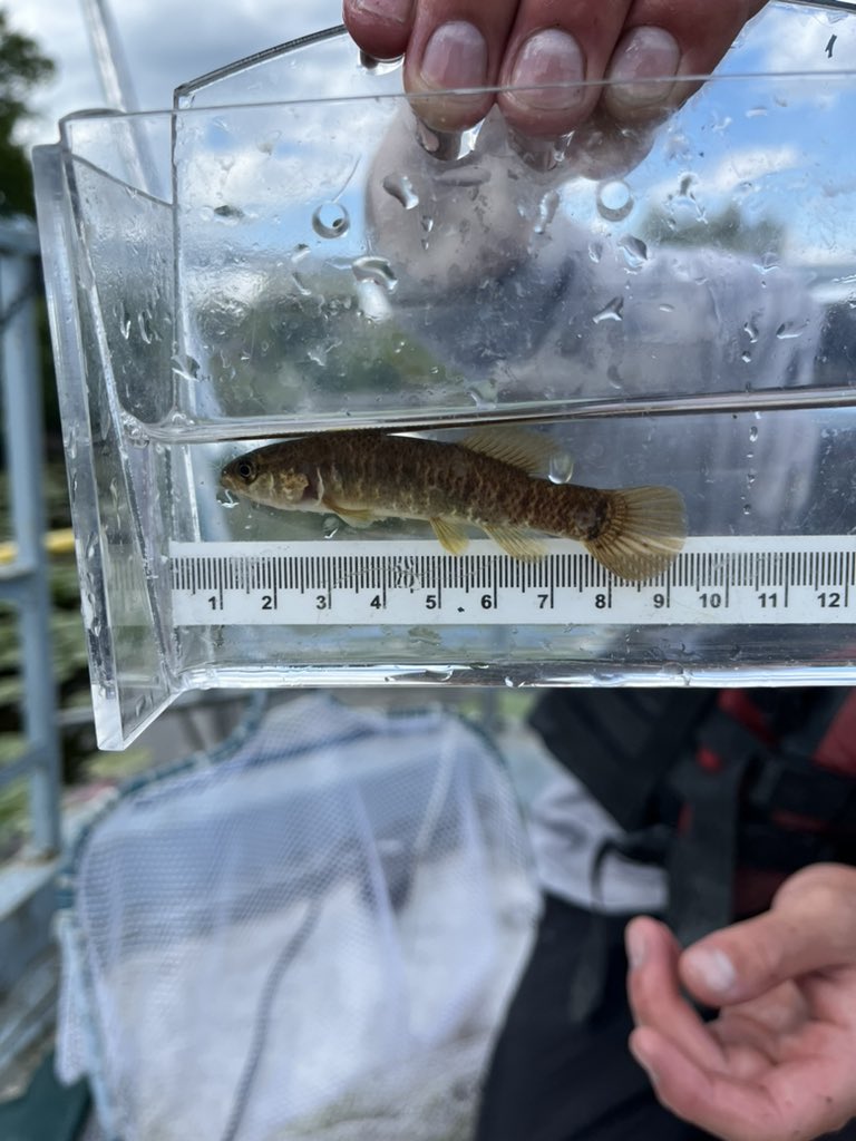 Erin Smith tweet media