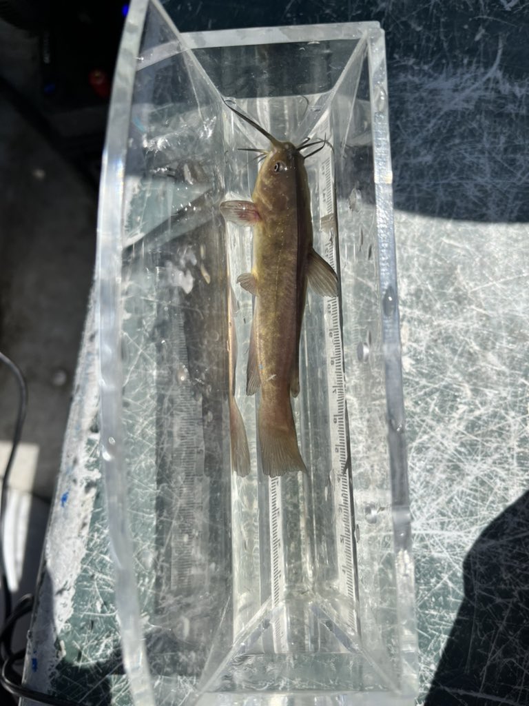 Erin Smith tweet media