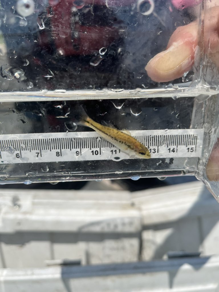 Erin Smith tweet media