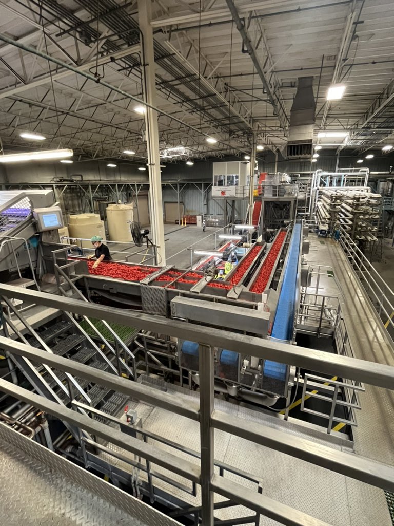 chickenpalmer1's tweet photo. Factory tour of Ingomar packing company at Volta. This facility can process the equivalent of the whole Australian tomatoe crop in under two weeks. This is a small facility over here.
#usastudytour #processingtomatoes #California https://t.co/ZjiUkKDbIP