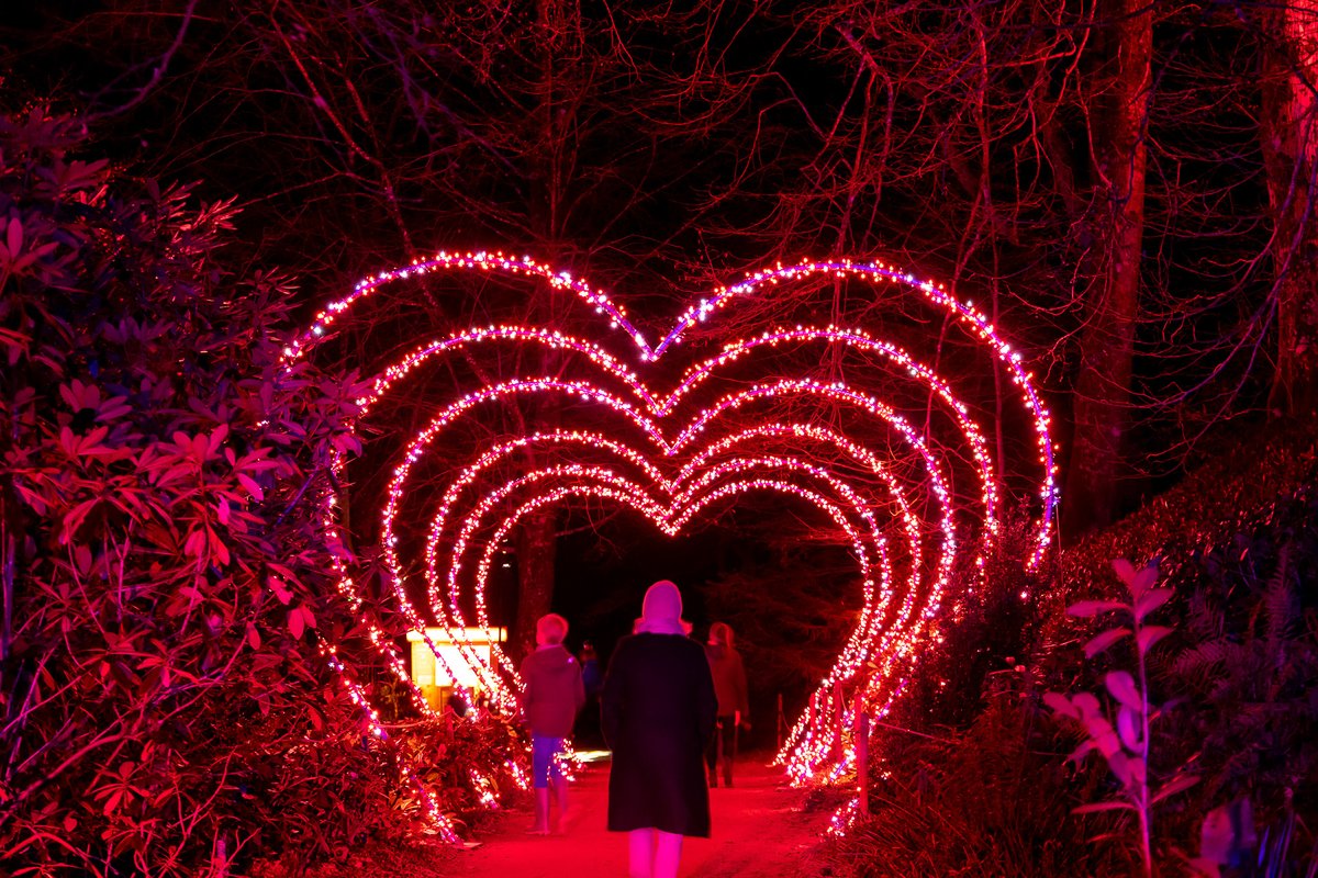 San Antonio Botanical Garden tweet media