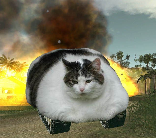 Kingdarpsy's tweet photo. Why you should follow my twitch https://t.co/u2zRzDjleu #twitch #cattank #masterphotoshop #photoshop #notreal #hype https://t.co/ScBxjUpFOg