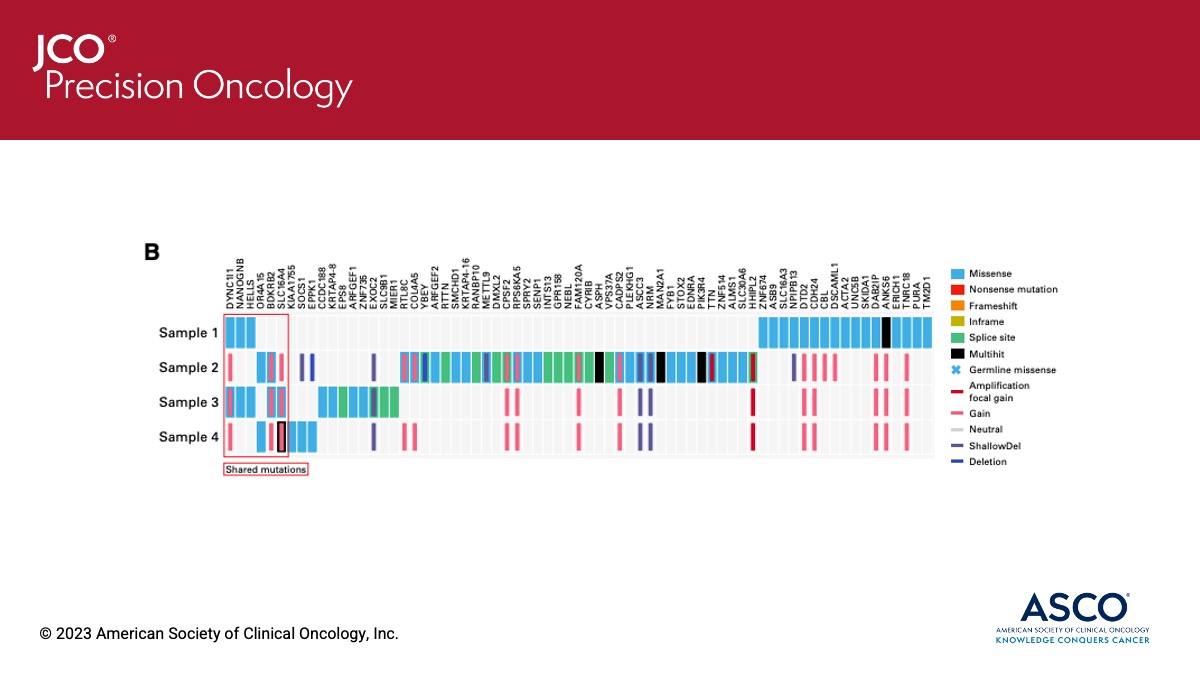 JCO Precision Oncology tweet media