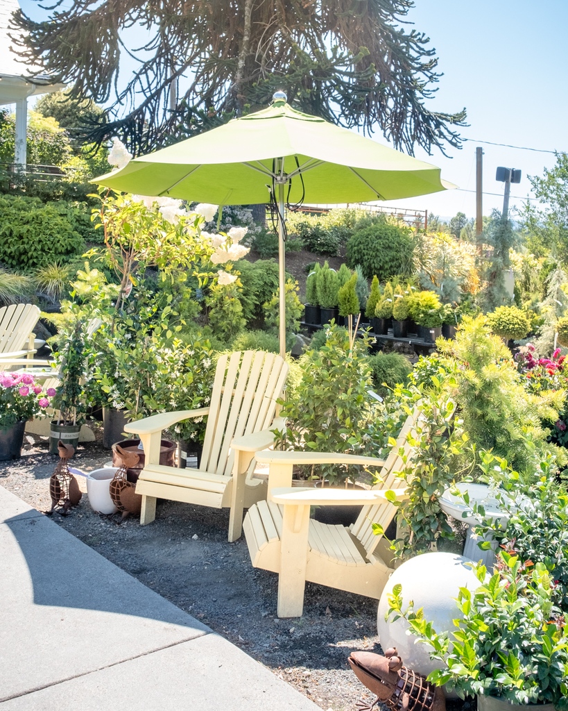 cornellfarm's tweet photo. In the heat of the afternoon, it's nice to have an umbrella to provide a little shade! ⛱️☀️ https://t.co/GaqcvEOjM3
