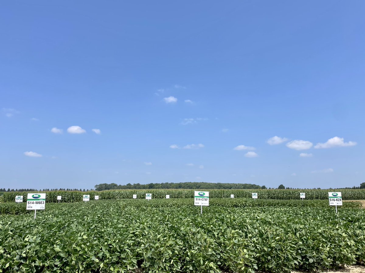 NK® Seeds Canada tweet media