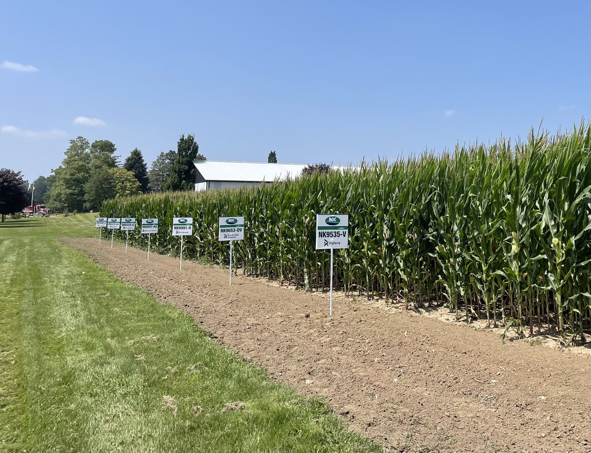 NK® Seeds Canada tweet media