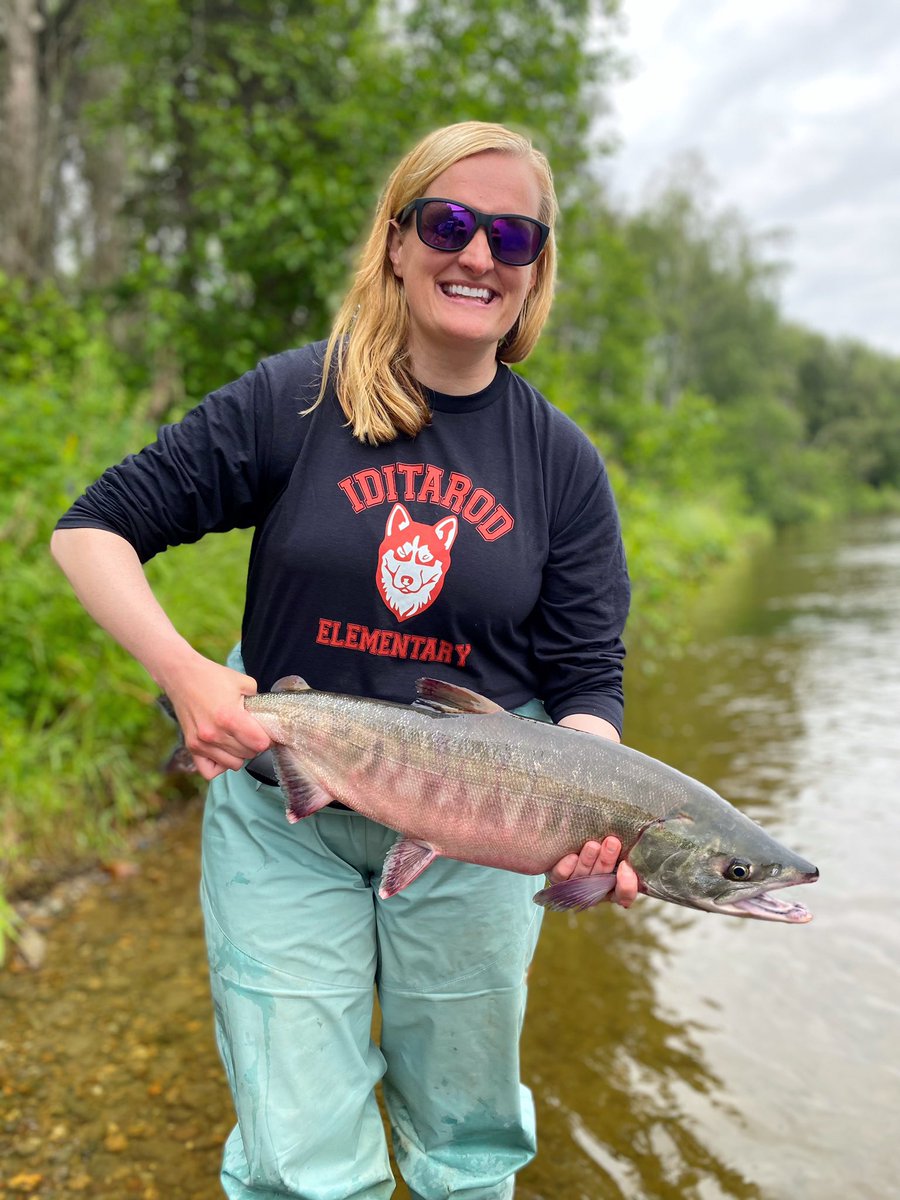 Robin Jones tweet media