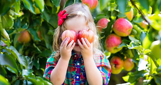 1234sh12's tweet photo. An apple a day keeps the doctor away . https://t.co/rU6bwJzcYo