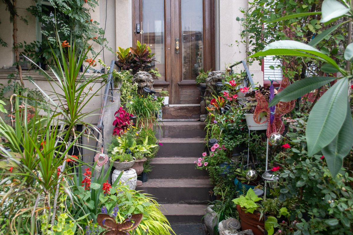 Brooklyn Botanic Garden tweet media