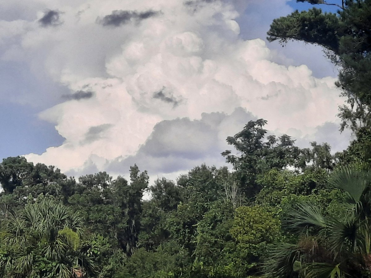 @luketaplin42 @StormHour @ThePhotoHour @JAclouds @tracyfromjax @ViaAStockADay @PicPoet @mypicworld @cloudymamma @AngelBrise1 @WilliamBug4 @AddisSaltyDog @enjoyscooking Def nice Artsy sky 😍 Thanks. Next day #Cumulus #clouds in East #JaxFL sky. #weather #AJSGwxArt #firstalertwx #nature #photography @WxPhotography99