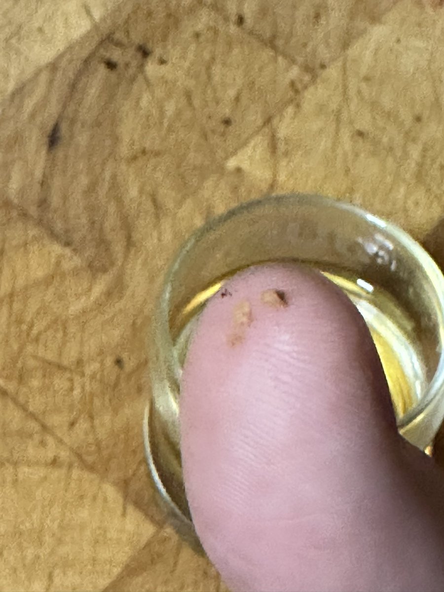 TheAbductee's tweet photo. Oh no 🙈 tonight I decided to finally open my favourite 🥃 @Bruichladdich and this happens 😭 even has bits of cork floating in it and has always been stored upright. https://t.co/m4fgerbjAV