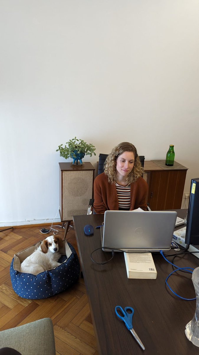 marusacer's tweet photo. First week as an official Doctor 🥲.
Behind the scenes  pic of my thesis defence with Dalton, always by my side https://t.co/Hy8zD5aI3v