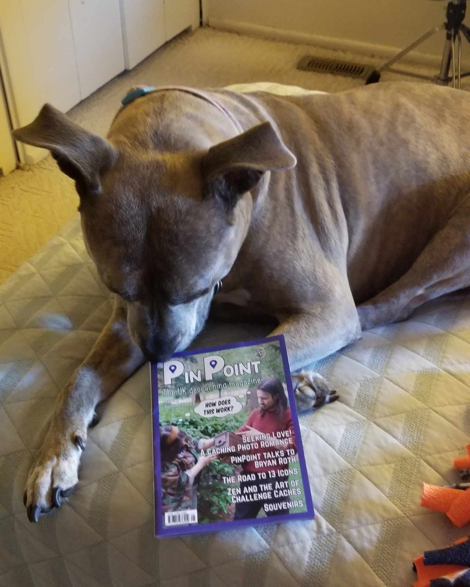 geopinpoint's tweet photo. Dogs clearly love PinPoint.  This is Macie from Bloomington, Ilinois, about to delve into issue 5. You can too! Order from https://t.co/t9XZPWZT68 or visit our stall at @megaMK2023 this Saturday! #geocaching https://t.co/TeRYU7JjBz