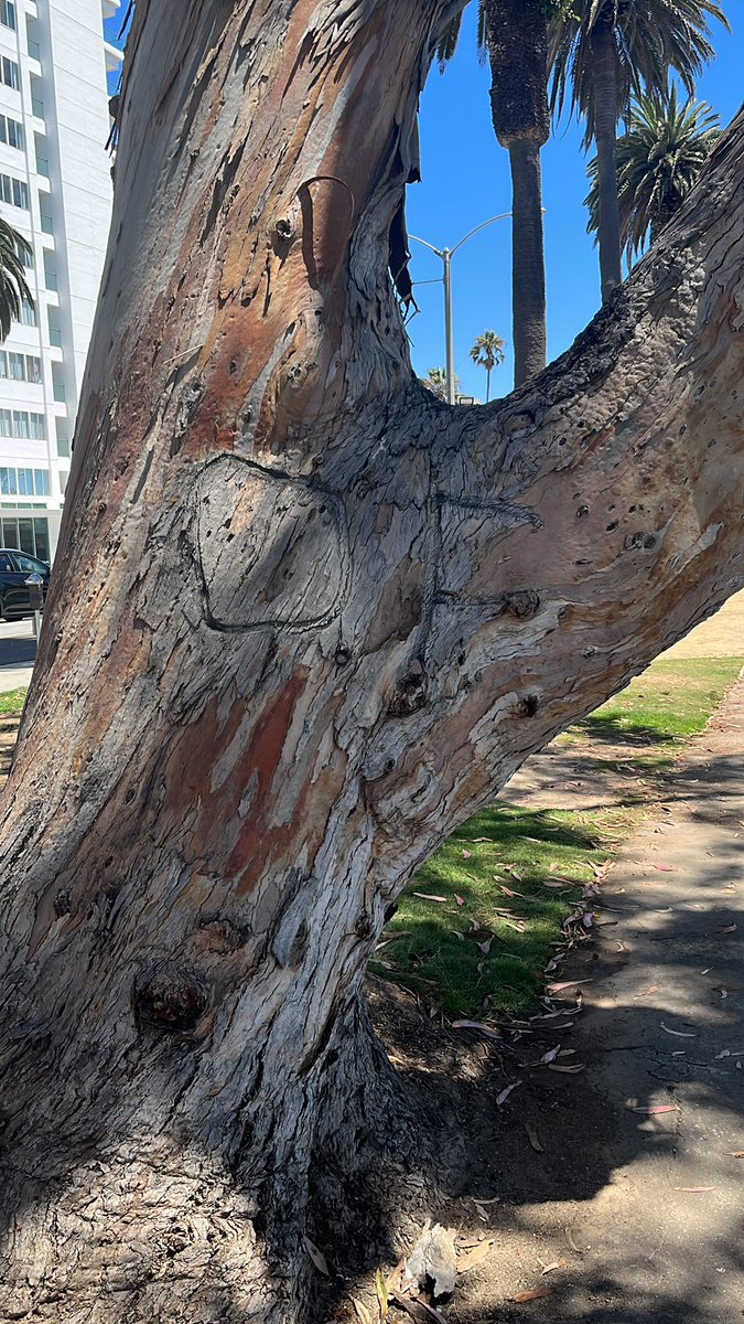 NarciiYT's tweet image. #OF = #Ophanim, get the general!