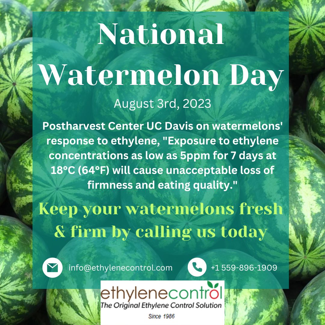 EthyleneControl's tweet image. Keeping watermelons fresh &amp;amp; crisp
We can help avoid any adjustments, give us call
#ethylenecontrol #ECI #ethyleneremoval #coldstorage #fruits #vegtables #cleanair #moldfree #growers #sachets #filters #bagfilters #freshproduce #produce #omri #omrilisted #organic