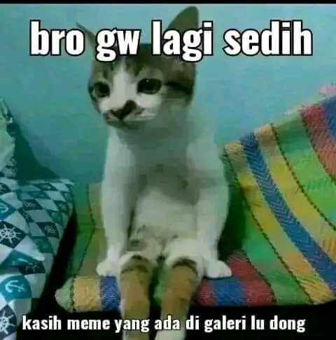 Minta lah bro 🥹