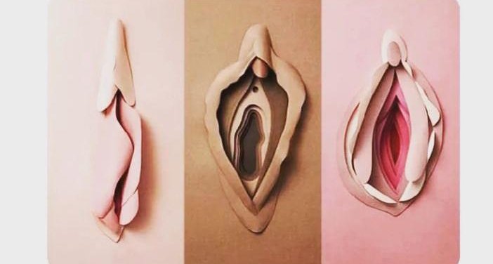 BaniazSecret's tweet photo. No two women have thesame Vagina. They're different in colour, look, odour, feel, taste. Learn to appreciate your woman's own else  you'll die young 📌 https://t.co/q96xpdSW4d