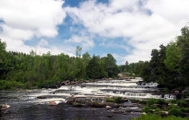 We are expecting a busy August long weekend here at Sauble Falls! We encourage you to plan ahead to ensure a smooth check-in. 

⏰ Campsite check in is at 2:00pm. You are welcome to arrive earlier to enjoy the park and nearby amenities! 
📱 Have your booking information ready.