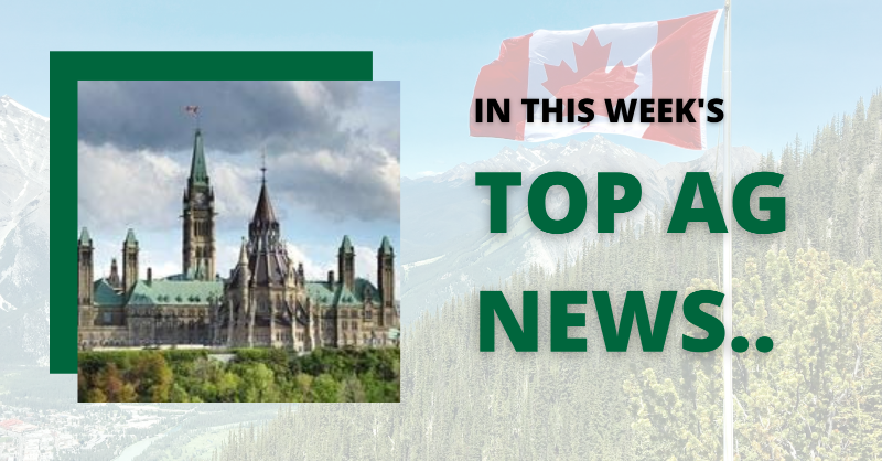 OntAg's tweet photo. In this week's #TopAgNews:

Big changes impacting #agriculture!

Mark Holland, Rechie Valdez, Pablo Rodriguez, Marc Miller, Randy Boissonnault, and Anita Anand take on new ministerial roles

See how these changes will affect the future of agriculture ⏬

#AgNews #CdnAg #AgTwitter