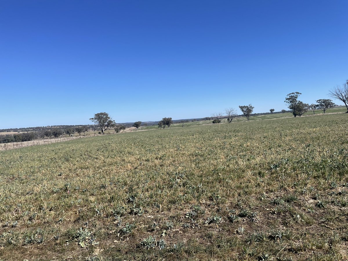 Martin Murray tweet media