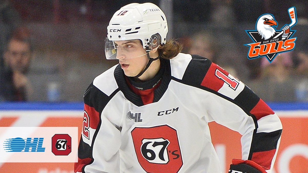 OHLHockey's tweet image. Congrats Anthony Costantini!

@Ottawa67sHockey overage graduate has signed a one-year #AHL contract with the @SDGullsAHL.

DETAILS 📰: tinyurl.com/bddxad79